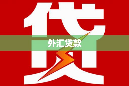 韩城外汇贷款