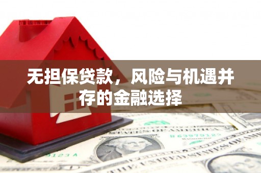 韩城无担保贷款，风险与机遇并存的金融选择