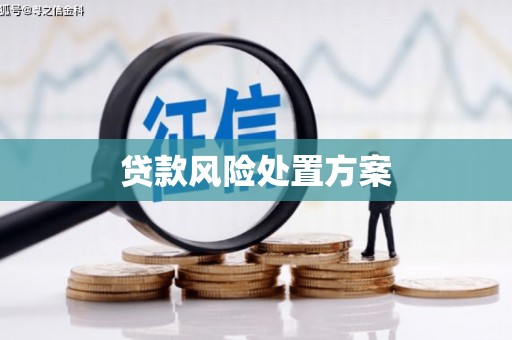 韩城贷款风险处置方案