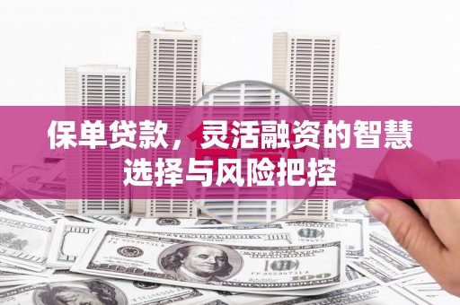 韩城保单贷款，灵活融资的智慧选择与风险把控