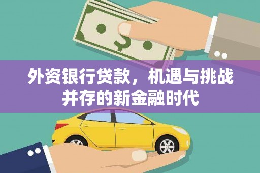 韩城外资银行贷款，机遇与挑战并存的新金融时代
