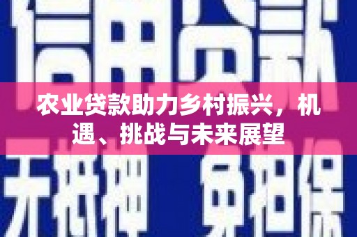 韩城农业贷款助力乡村振兴，机遇、挑战与未来展望