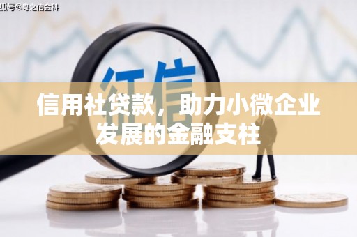 韩城信用社贷款，助力小微企业发展的金融支柱