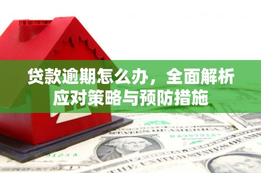 韩城贷款逾期怎么办，全面解析应对策略与预防措施