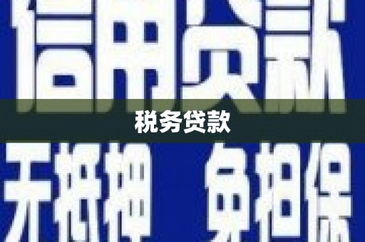 韩城税务贷款