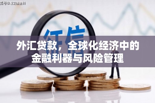 韩城外汇贷款，全球化经济中的金融利器与风险管理