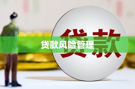 韩城贷款风险管理