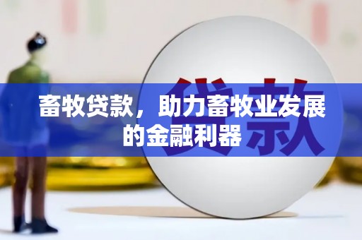 韩城畜牧贷款，助力畜牧业发展的金融利器