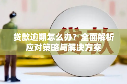 韩城贷款逾期怎么办？全面解析应对策略与解决方案