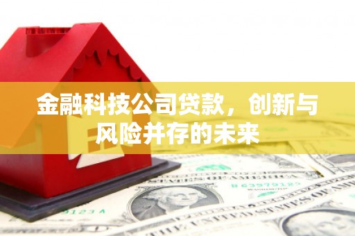 韩城金融科技公司贷款，创新与风险并存的未来