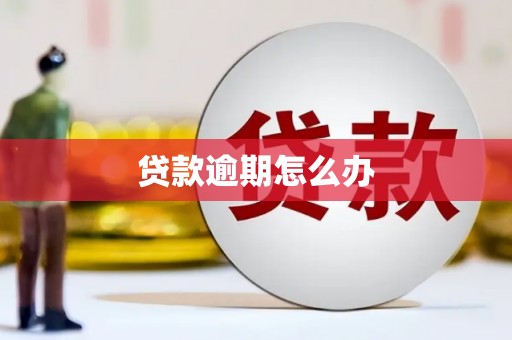 韩城贷款逾期怎么办