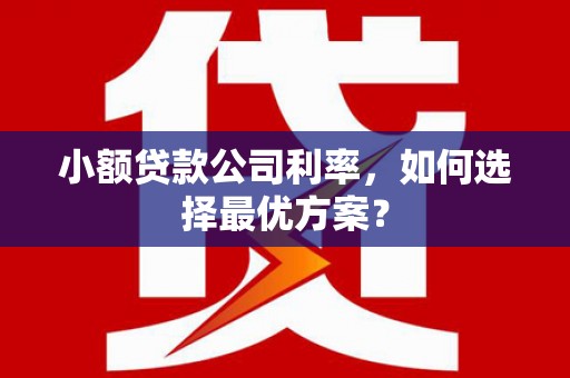 韩城小额贷款公司利率，如何选择最优方案？