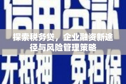 韩城探索税务贷，企业融资新途径与风险管理策略