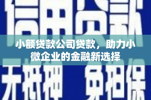 韩城小额贷款公司贷款，助力小微企业的金融新选择