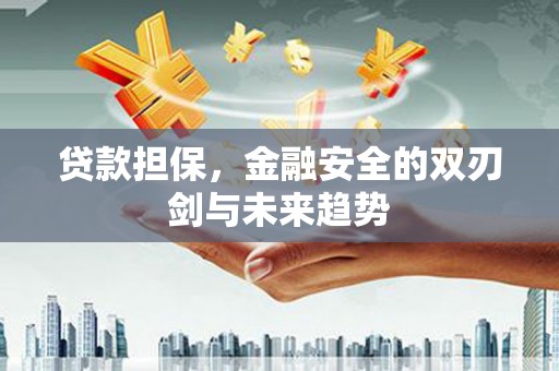 韩城贷款担保，金融安全的双刃剑与未来趋势