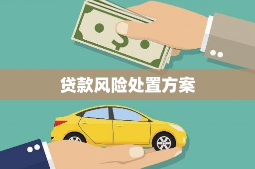 韩城贷款风险处置方案