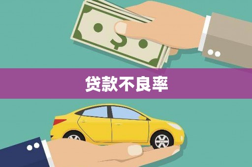 韩城贷款不良率