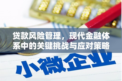 韩城贷款风险管理，现代金融体系中的关键挑战与应对策略