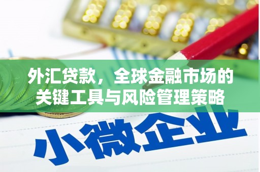 韩城外汇贷款，全球金融市场的关键工具与风险管理策略