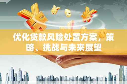 韩城优化贷款风险处置方案，策略、挑战与未来展望