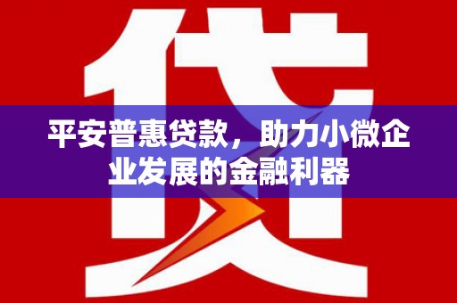 韩城平安普惠贷款，助力小微企业发展的金融利器