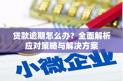 韩城贷款逾期怎么办？全面解析应对策略与解决方案