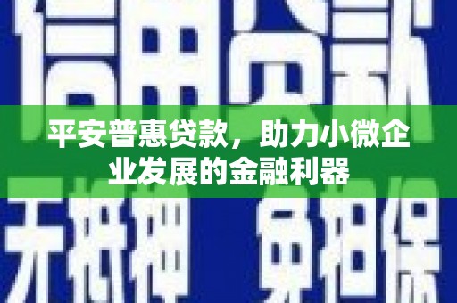 韩城平安普惠贷款，助力小微企业发展的金融利器