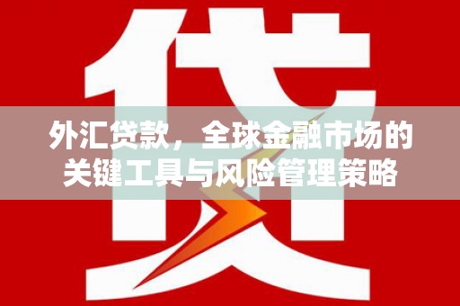 韩城外汇贷款，全球金融市场的关键工具与风险管理策略