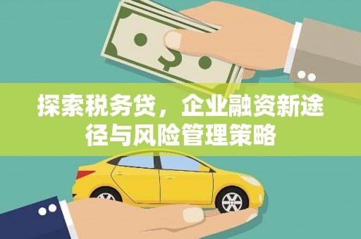 韩城探索税务贷，企业融资新途径与风险管理策略