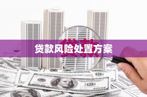 韩城贷款风险处置方案