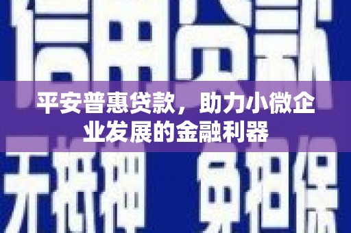 韩城平安普惠贷款，助力小微企业发展的金融利器