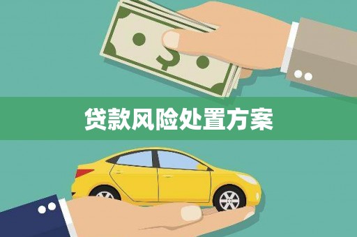 韩城贷款风险处置方案