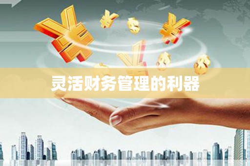 韩城灵活财务管理的利器