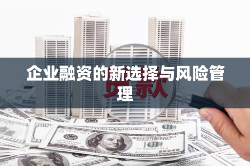 韩城企业融资的新选择与风险管理