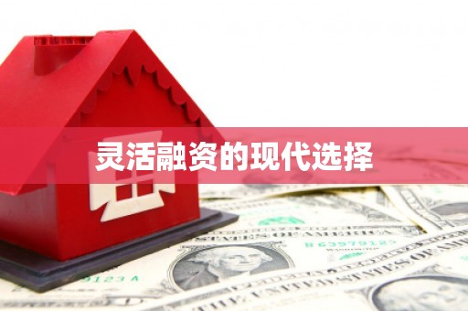 韩城灵活融资的现代选择