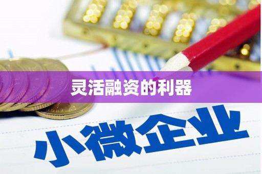 韩城灵活融资的利器