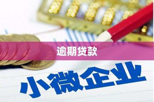 韩城逾期贷款