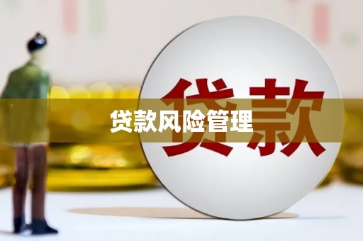 韩城贷款风险管理
