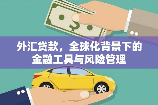 韩城外汇贷款，全球化背景下的金融工具与风险管理