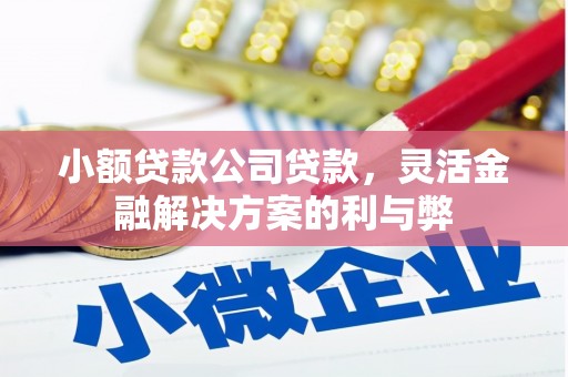 韩城小额贷款公司贷款，灵活金融解决方案的利与弊